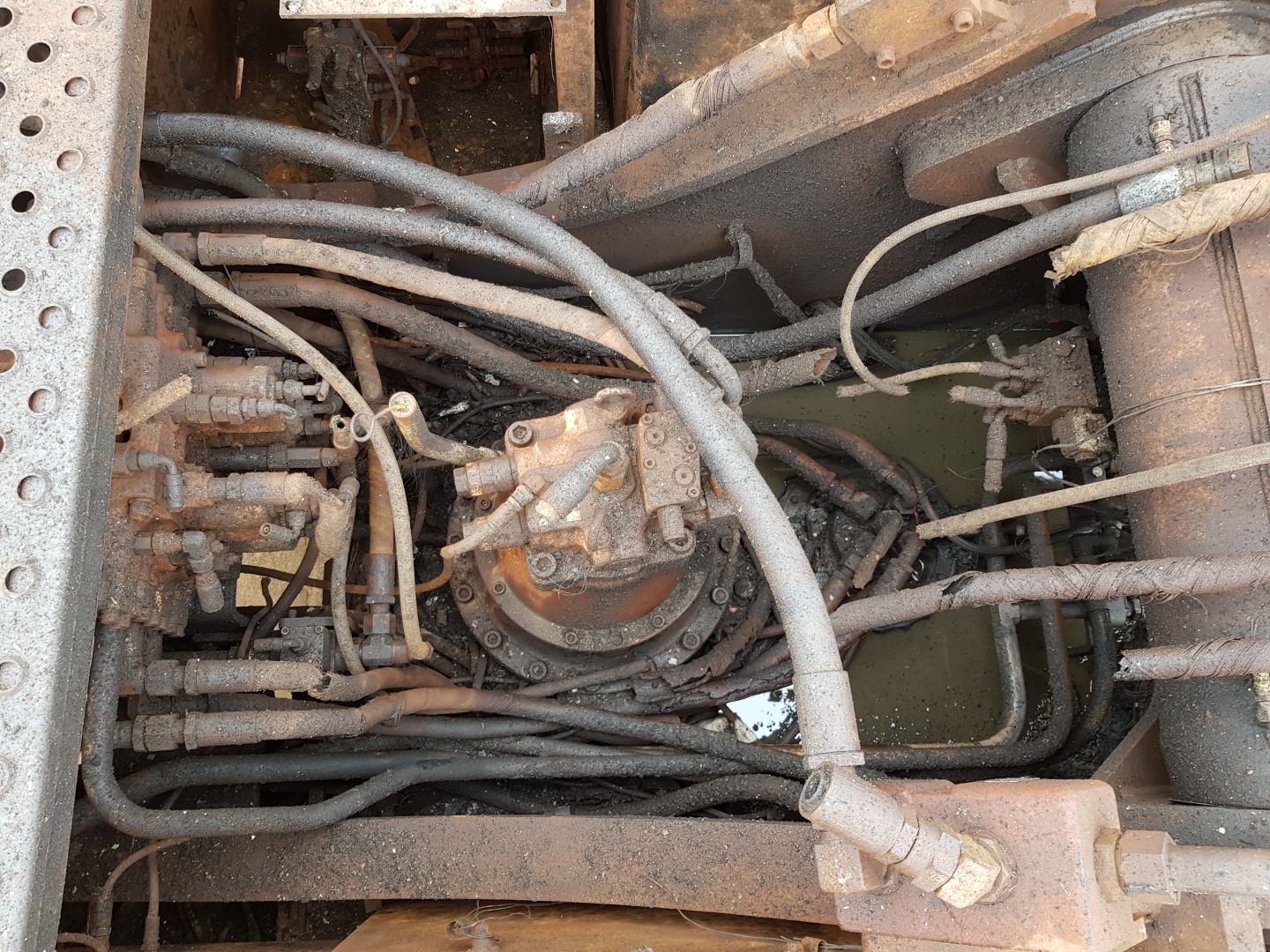 ZM008636_08.jpg